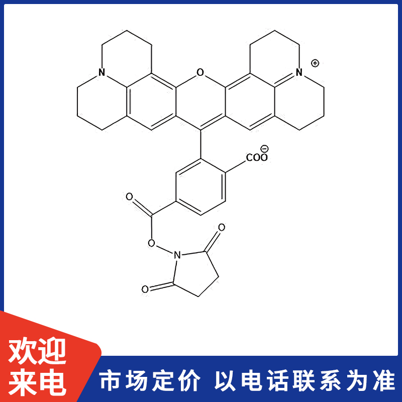 6-羧基-X-罗丹明琥珀酰亚胺酯.jpg